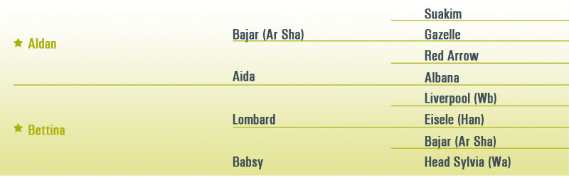 Pedigree Aron