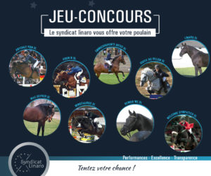 Jeu saillies à gagner Syndicat Linaro