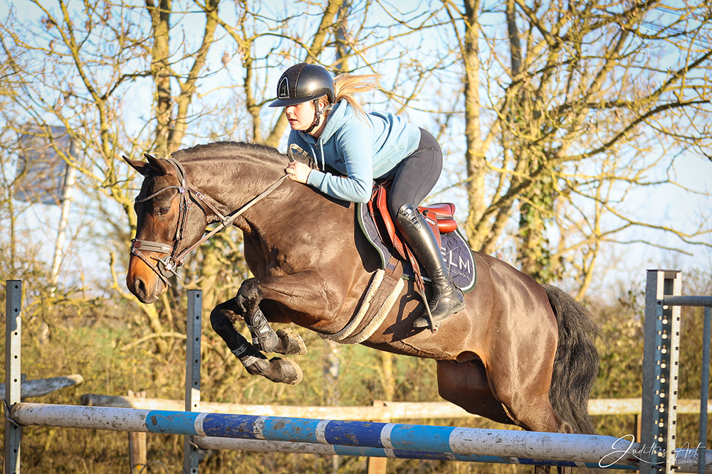 Top Magic van de Groenheuvel SL - ph. Judith's Art