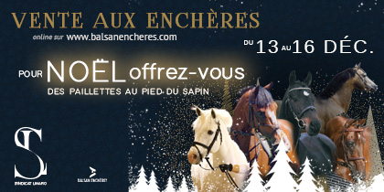 2e vente aux enchères semence étalon poney Syndicat Linaro